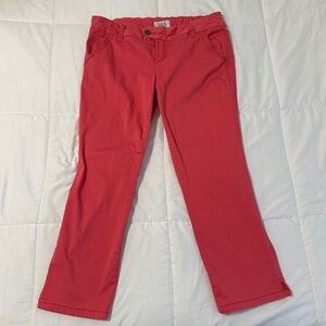 BKE Women's Payton Coral Straight Leg Jeans